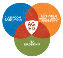 The Three Circle Model